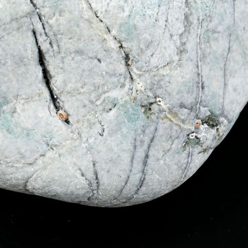 海石・貝殻付着・親不知海岸産・1.3kg】（高品質青色ヒスイ