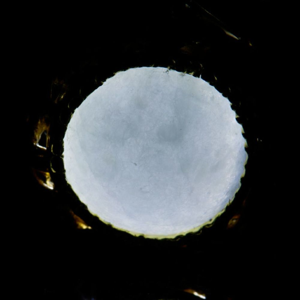 翡翠ペンダント