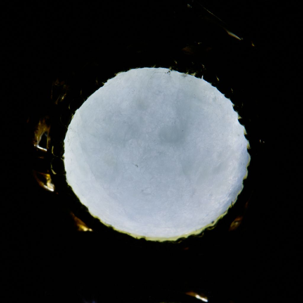 翡翠ペンダント